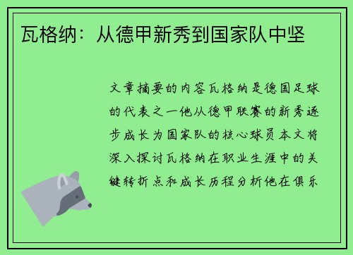 瓦格纳：从德甲新秀到国家队中坚